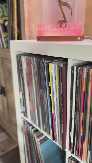 THE STORIES WE TELL OURSELVES - DOUBLE VINYL